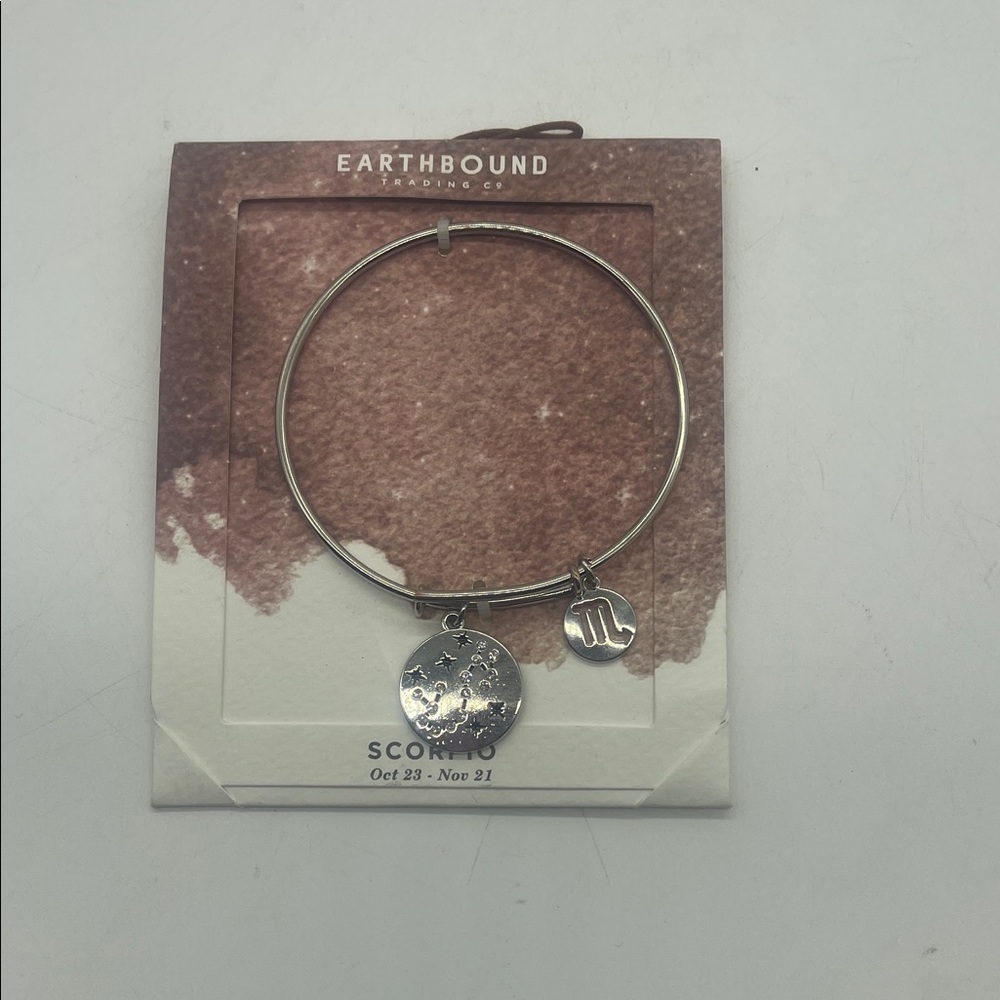 EARTHBOUND Silver Zodiac Charm Bracelet Scorpio